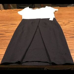 Navy & White Dress Brand New